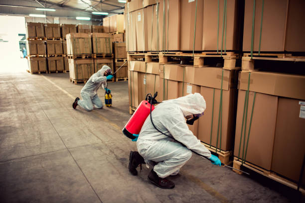 Best Pest Inspection Near Me  in Elwood, IL