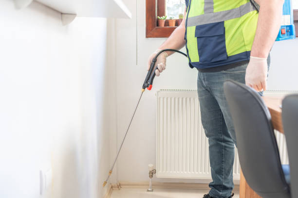 Trusted Elwood, IL Pest Control Experts