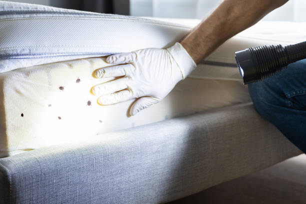 Best Wildlife Control Services  in Elwood, IL
