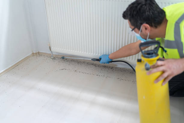 Best Commercial Pest Control Services  in Elwood, IL
