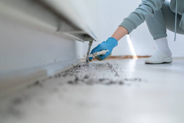 Best Exterminator Services  in Elwood, IL