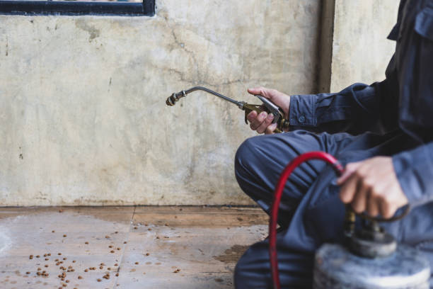 Best Best Pest Control Companies  in Elwood, IL